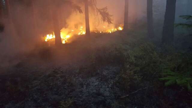 Just nu brinner det i skogen nära ridklubben i Karlskoga. Bilden är dock från en annan brand.