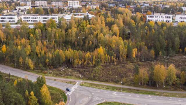 Här rakt igenom skogen vill Karlstads kommun anlägga en bussgata som angör Vårgatan. Detta för att snabbussen ska kunna åka rakt fram. Linjen tas i bruk 2026.