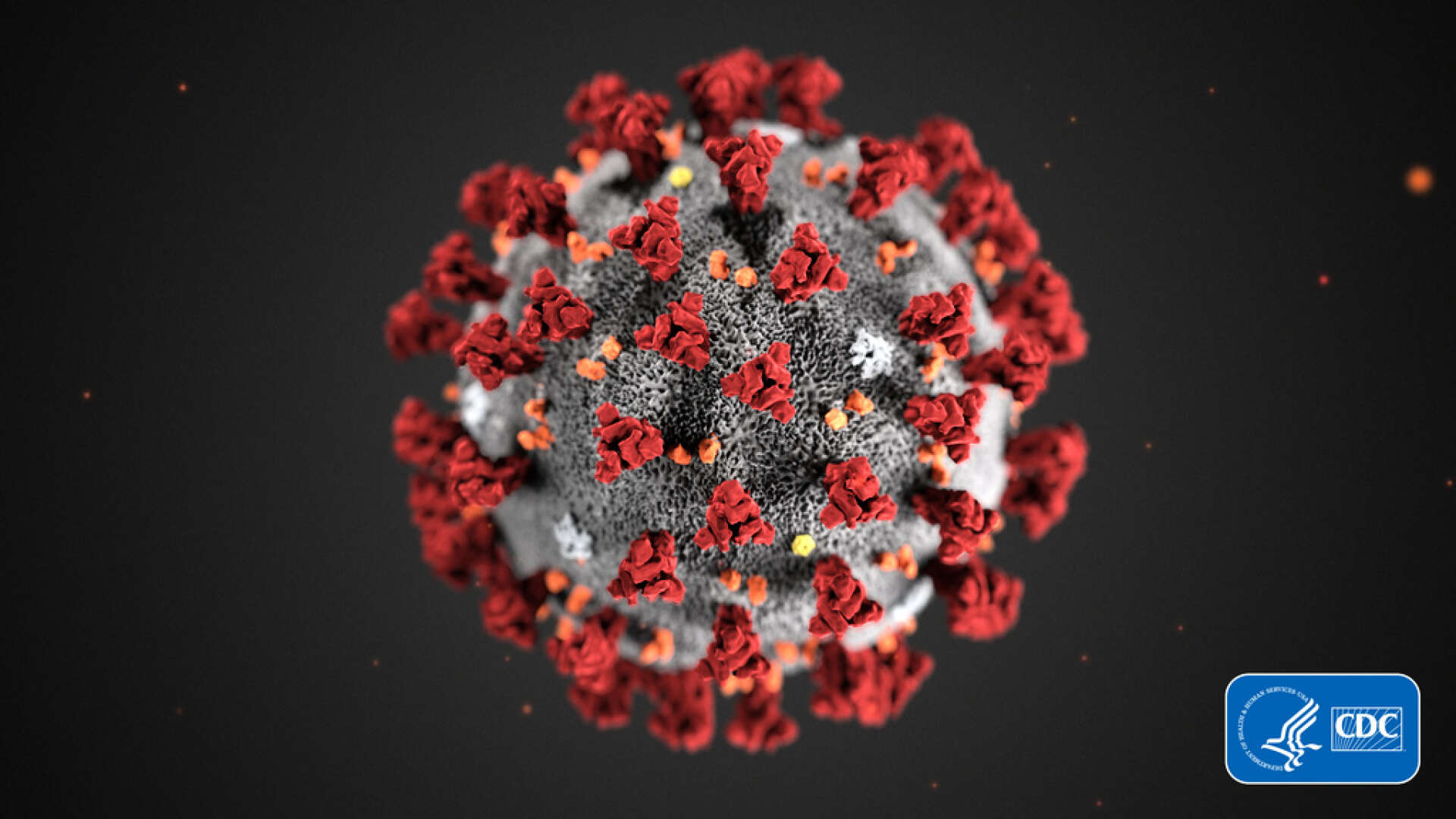 En illustration av coronaviruset.