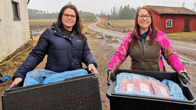 Malin Larsson, kostansvarig på Storfors kommun, hämtar vakuumförpackad och fryst köttfärs hos köttbonden Cecilia Kähäri på Espelunds gård.