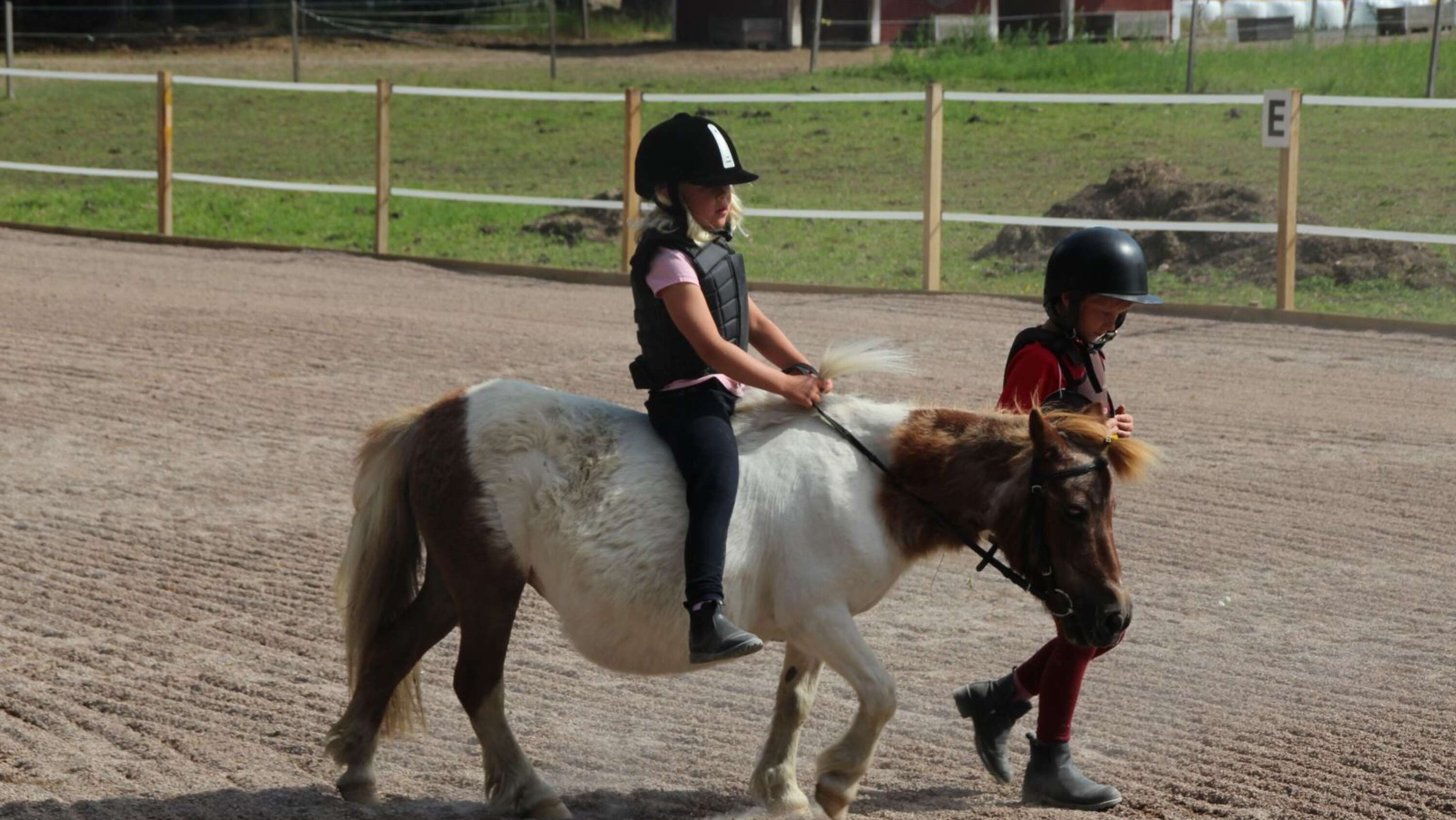 Samarbete var en av många saker som barnen lärde sig på ponnylägret.