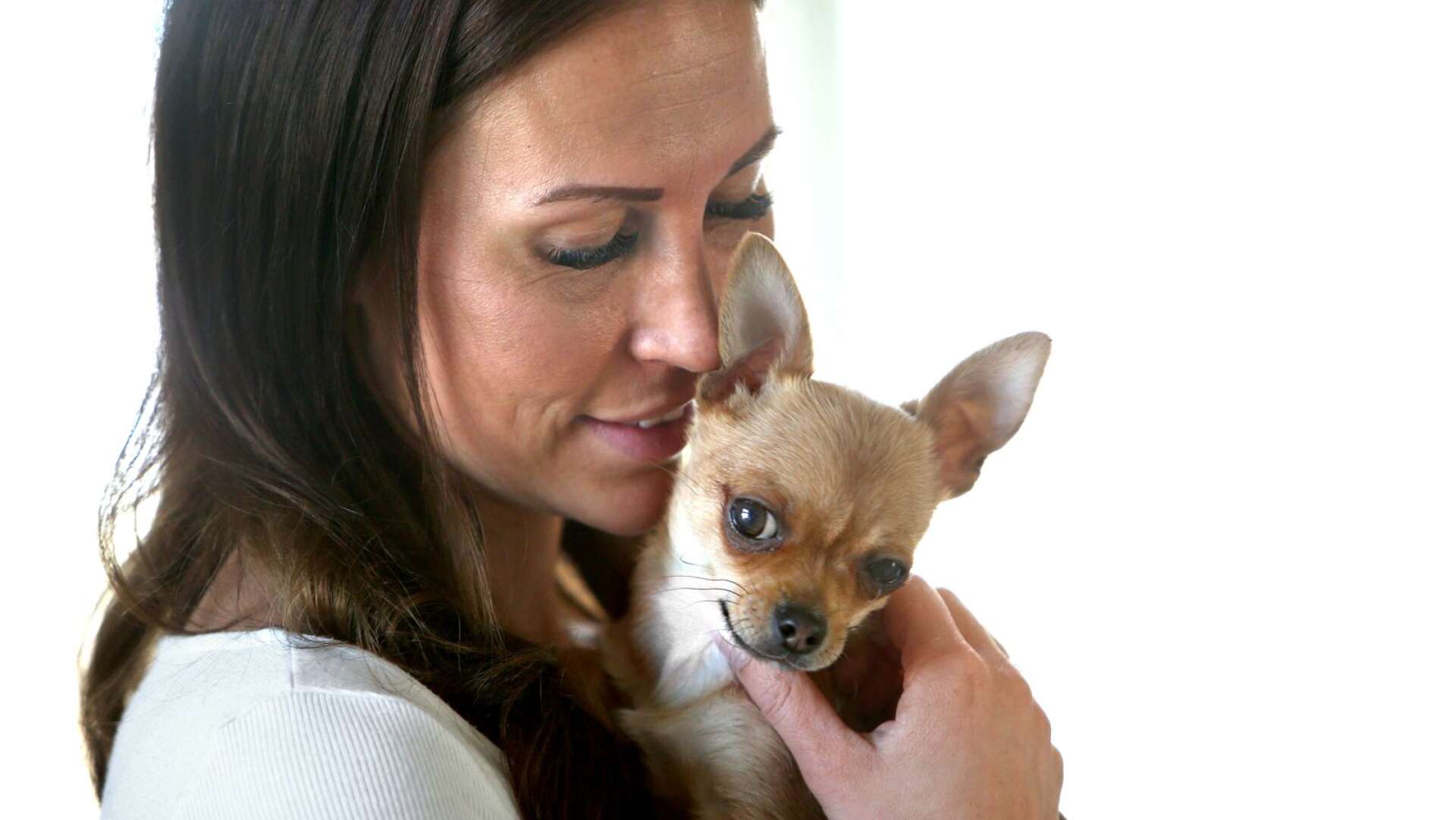 Chihuahua-valpen Molle är den senast tillkomna medlemmen i familjen. ”Jag har alltid haft hund men aldrig en sån här liten”.