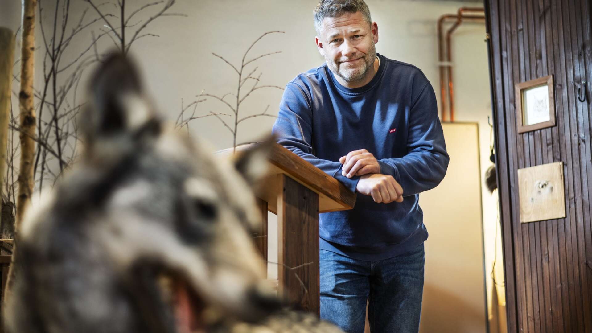 Jens Frank har forskat om varg i över 25 år och menar att det inte finns något rimligt skäl att tro på utplanteringsteorin. ”Statstjänstemän är inte direkt kända för att agera rebelliskt”, konstaterar han. 