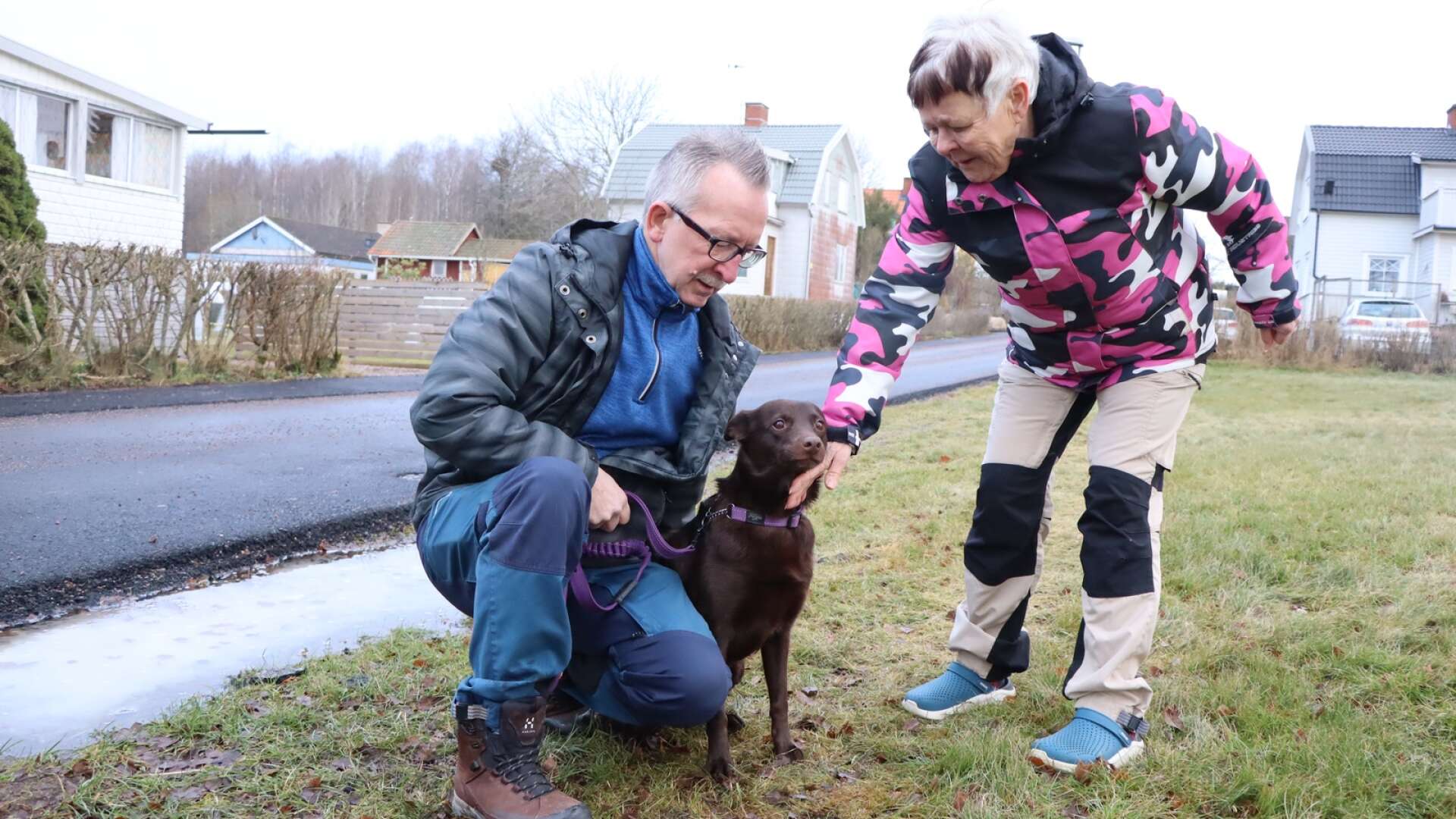 Lena och Leif Olsen i Skagersvik behöver ha med sig vaccinationspasset på olika hundtävlingar.