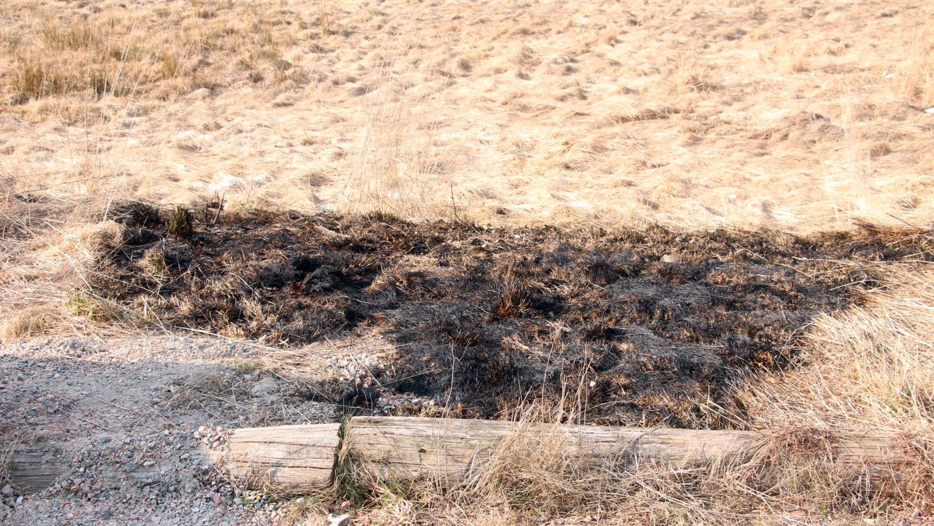 Det brann i gräset, en omkring 5-10 kvadratmeter stor yta.
