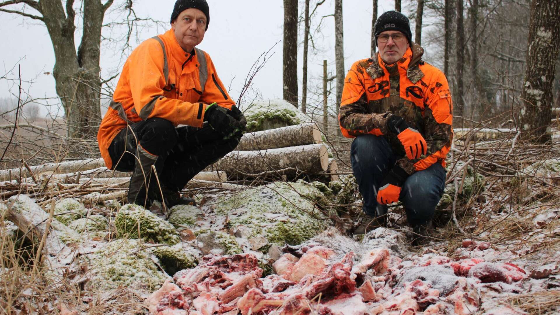Lars Nilsson, markägare, och Mats Ahlin, jägare, är överens om att dumpningen i Baljered är förkastlig och hänsynslös. 