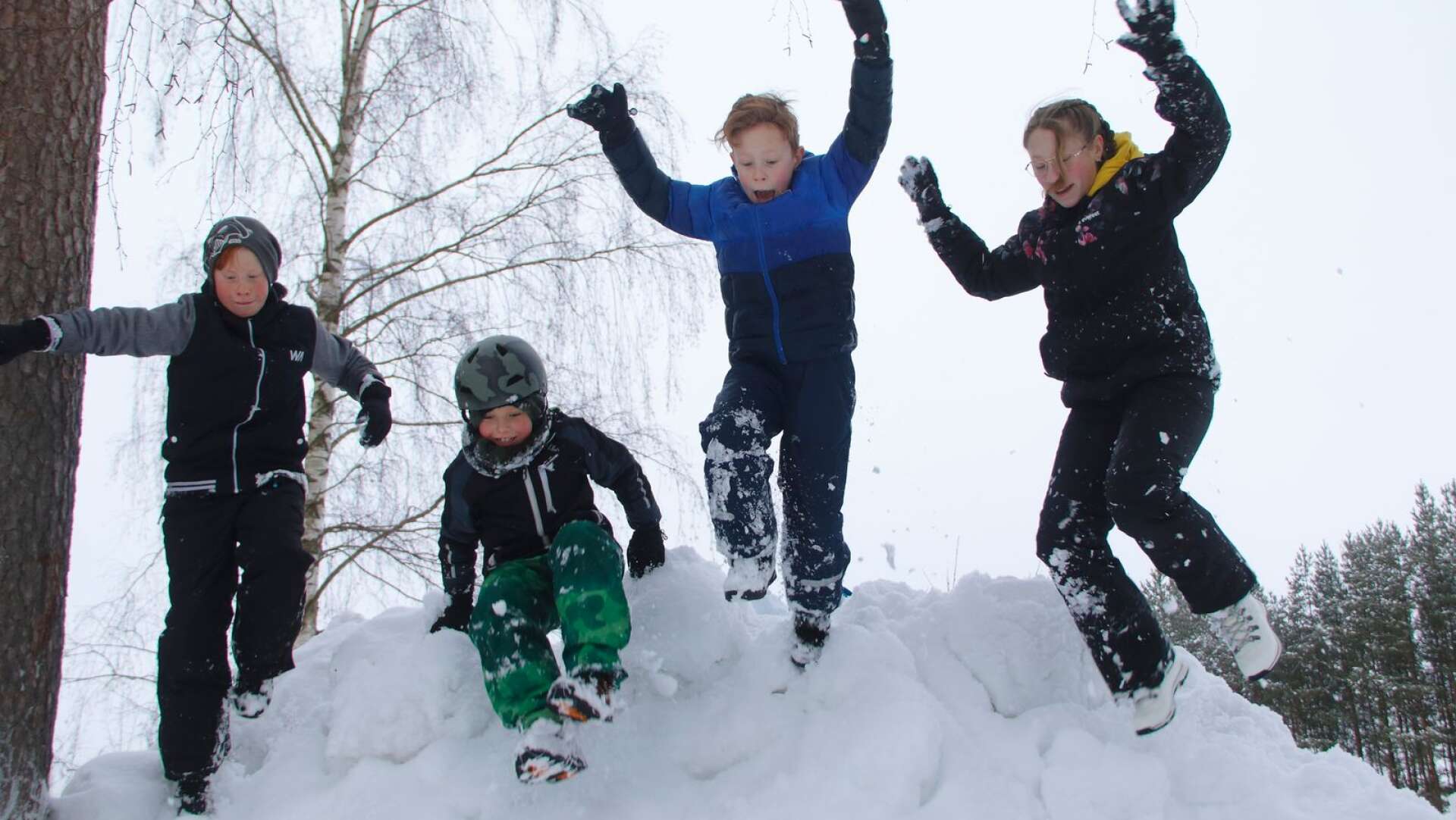 Gustav Samson, William Samson, Oskar Nilsson och Clara Nilsson hoppar från en större snöhög vid Nobel.