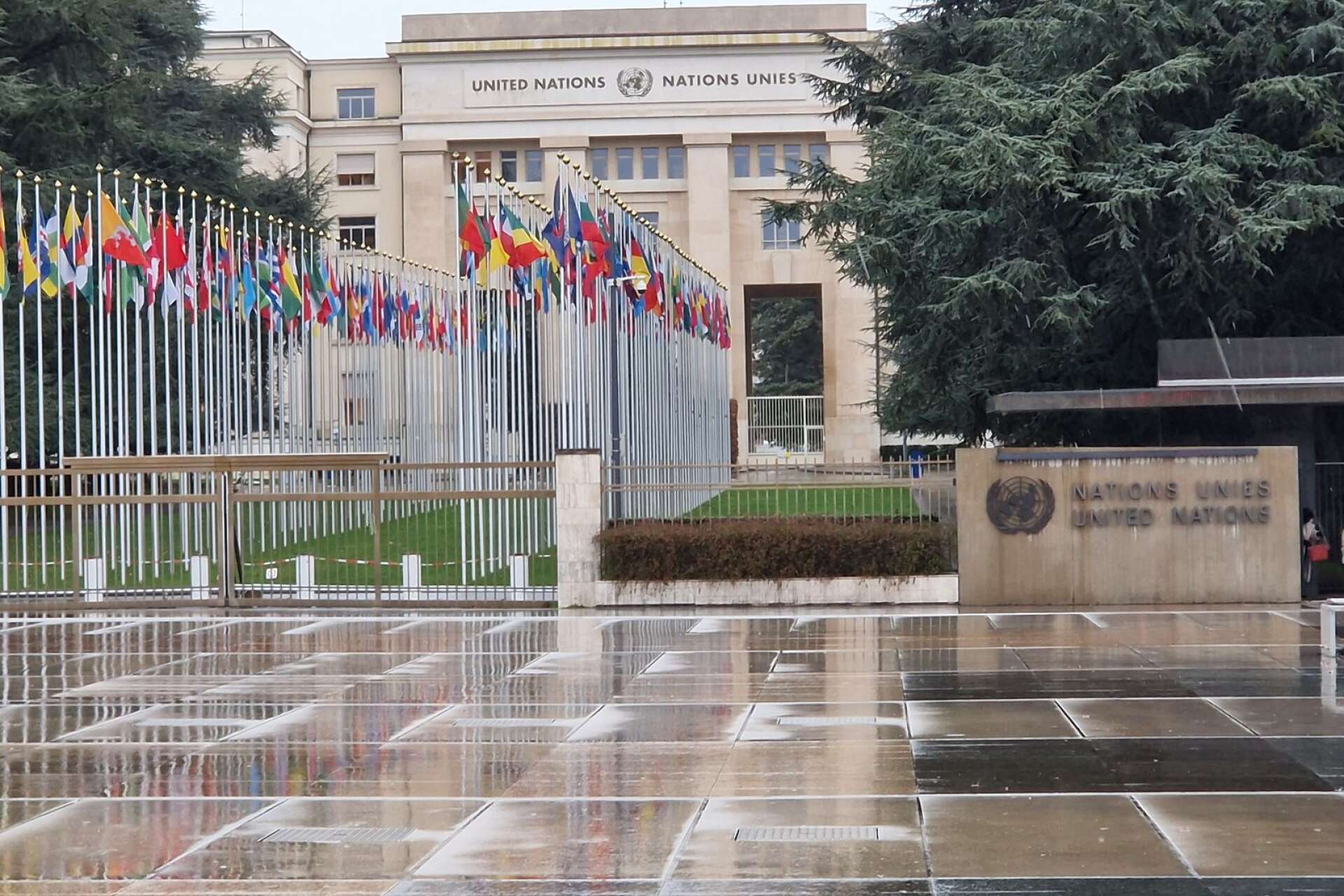 Nationsflaggor utanför FN-kontoret. 