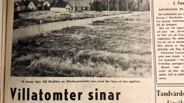 Åmåls kommun jagade tomter att bygga nya villor på för 50 år sedan. Här är Elisebergsområdet innan det blev fullt av villor.