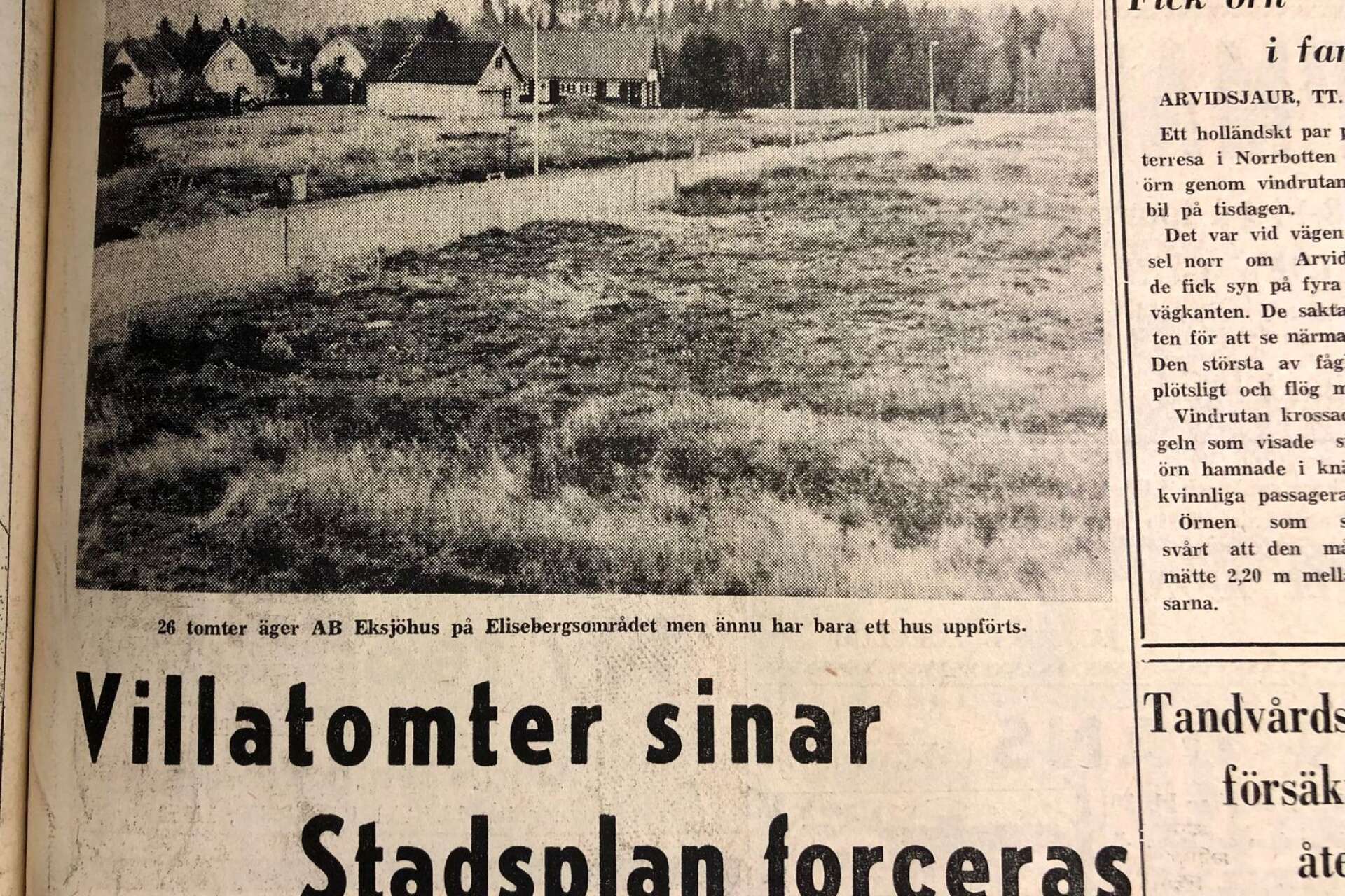 Åmåls kommun jagade tomter att bygga nya villor på för 50 år sedan. Här är Elisebergsområdet innan det blev fullt av villor.