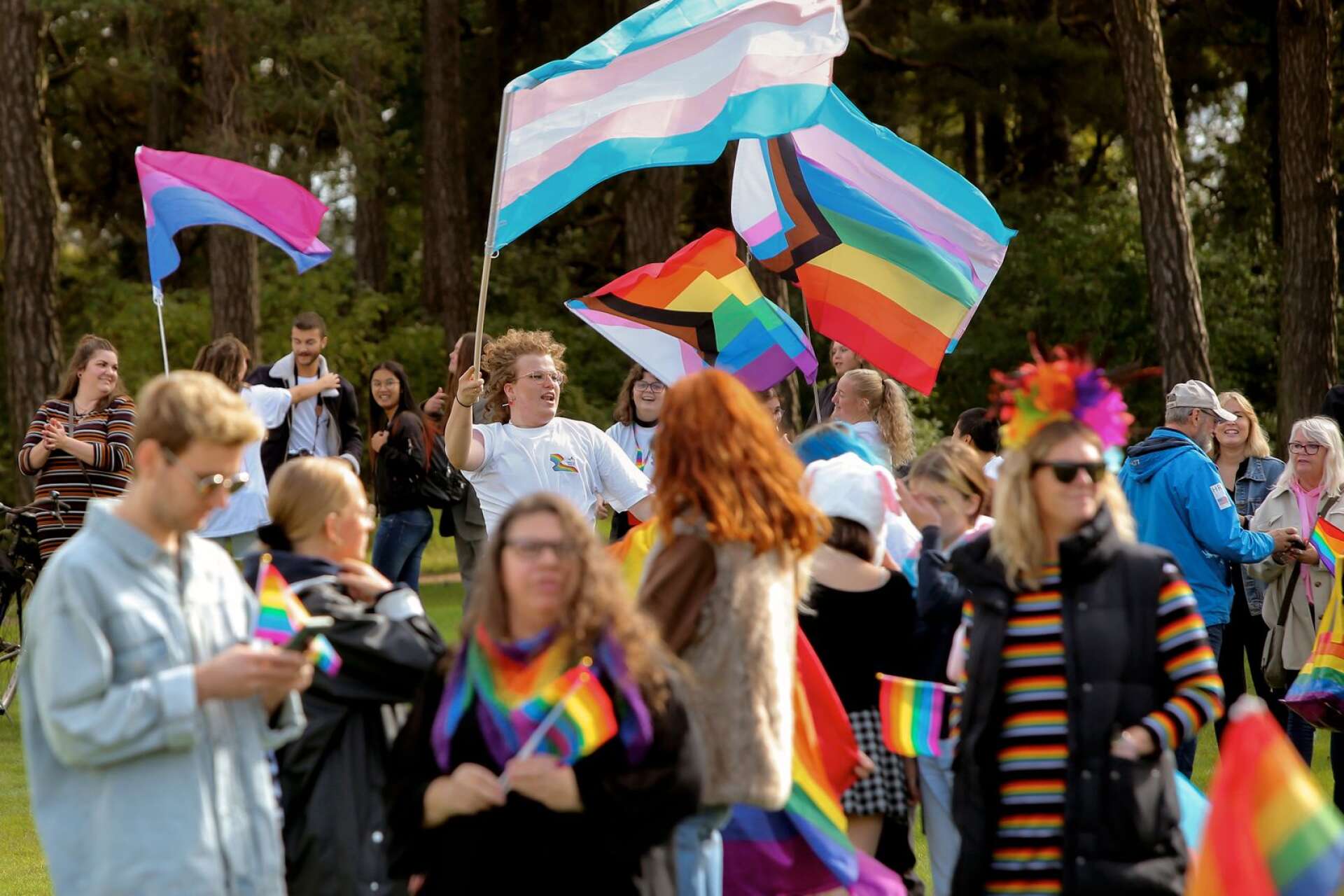 Företrädare för Moderata ungdomsförbundet i Lidköping är besvikna på fjolårets Prideparad då de enligt debattartikeln utsattes för glåpord. &quot;En parad av kärlek och gemenskap förvandlades till en parad av hat&quot;, skriver de.