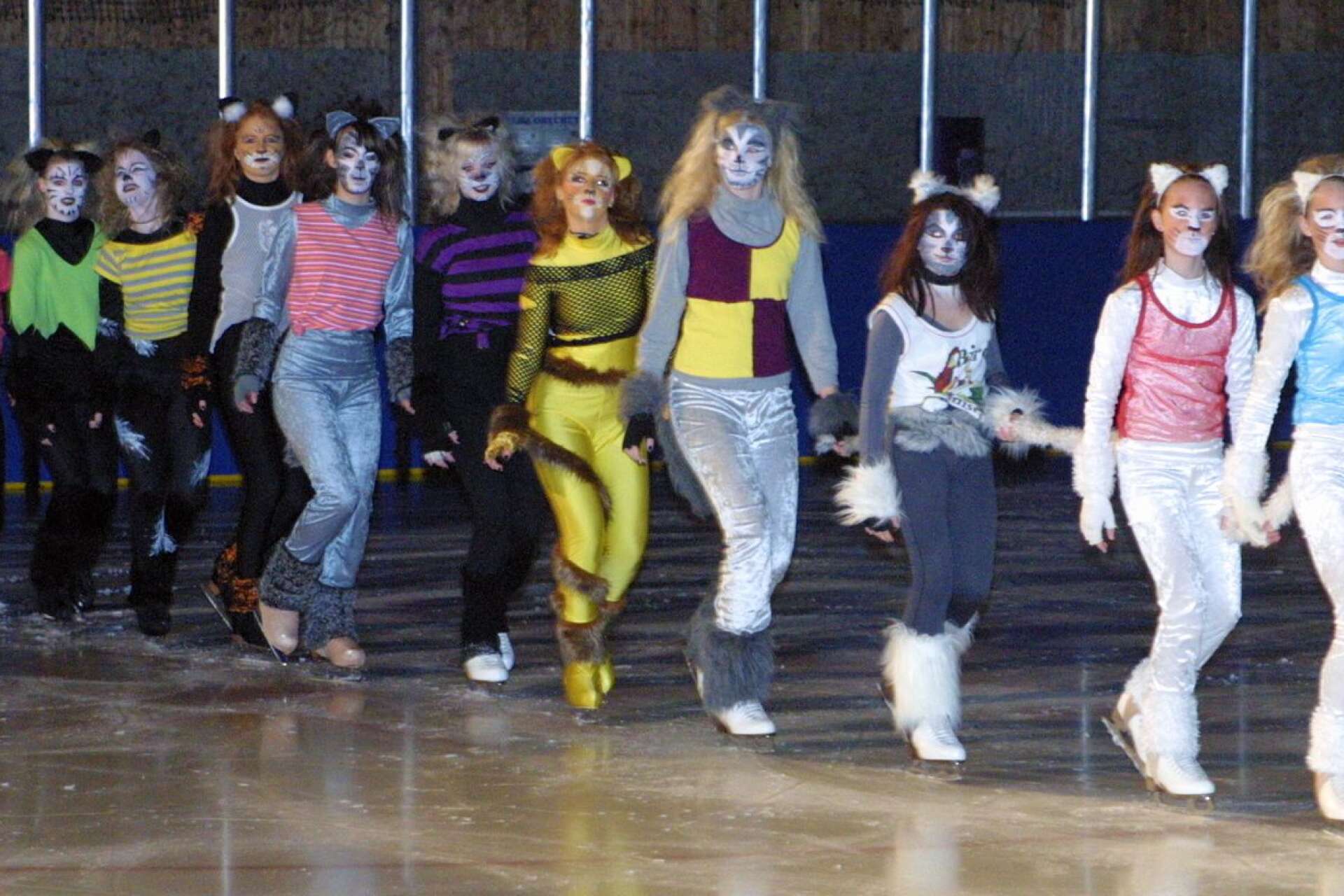Cats on ice, 2006