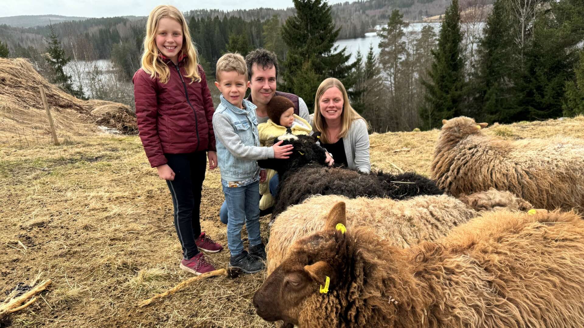 Familjen Malmros trivs med livet på landet. Här hälsar Mira, Jakob, Axel, Lovisa och Karin på i fårhagen.