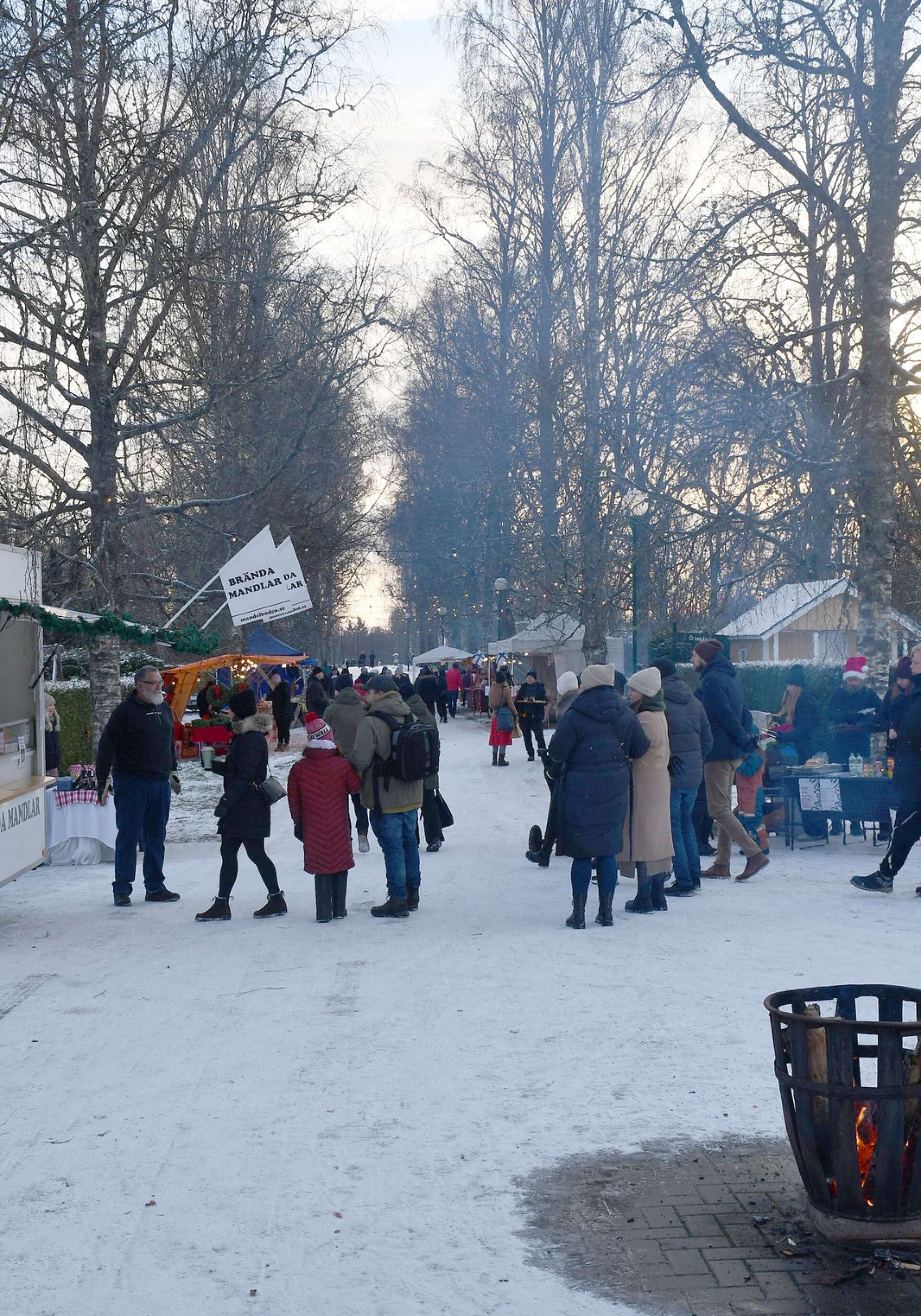 Jul i Parken har visat sig vara ett populärt arrangemang.