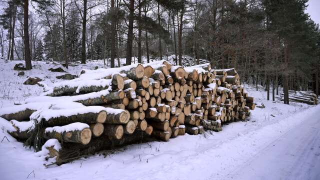 Hur mycket skog ska tas ner på Skövde skjutfält undrar insändarskribenten.