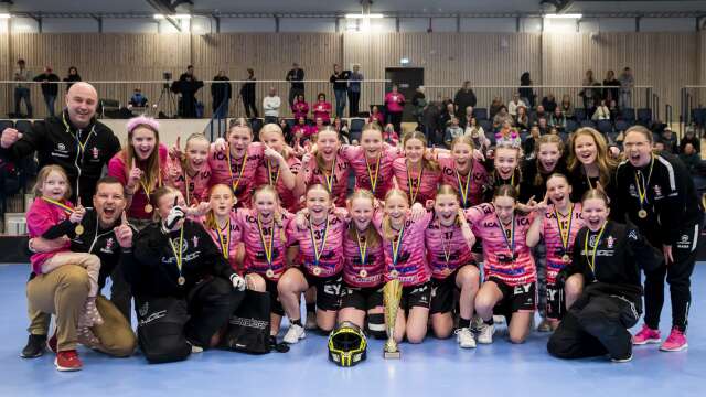 GS 86 vann Lilla VM efter finalseger mot Hertzöga.