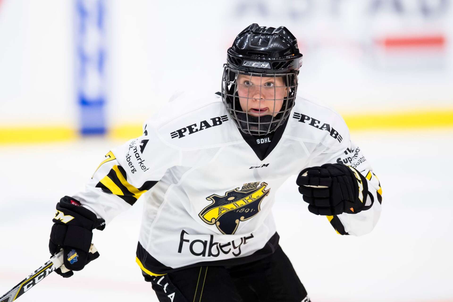 Mellan 2014-2018 spelade Linnea Hedin collegehockey i USA.