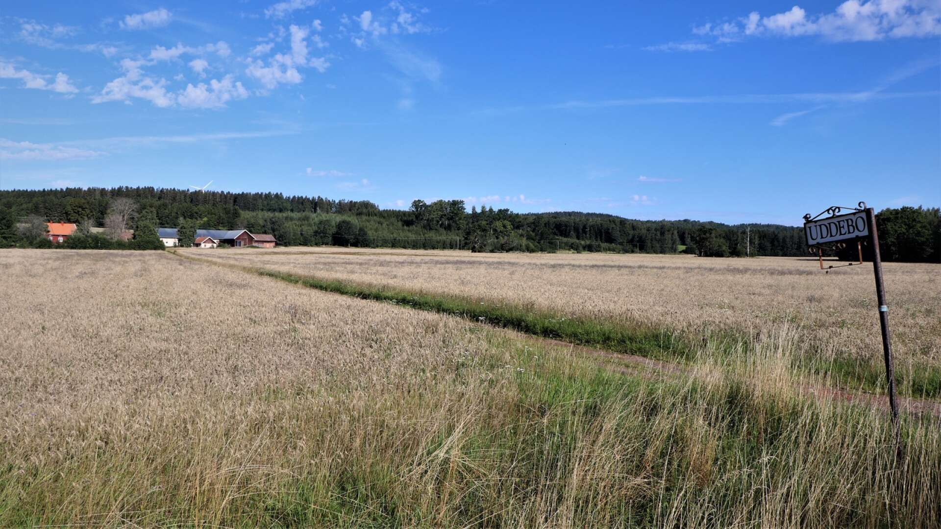 Landskapsbilden i Guldkroksbygden har stort värde och kommunen menar att en solcellspark i Uddebo skulle få stor inverkan på kulturmiljön. Länsstyrelsen håller med.