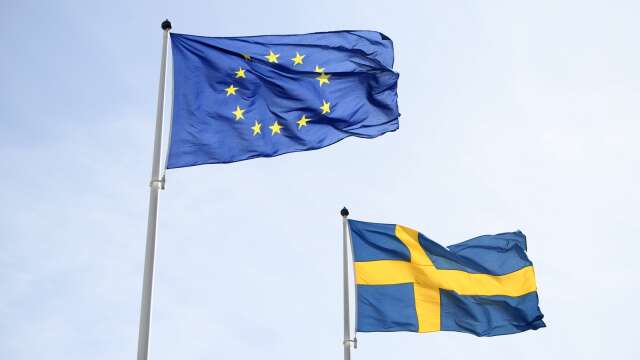 Sveriges befolkning verkar ha blivit mer positivt inställt till EU.