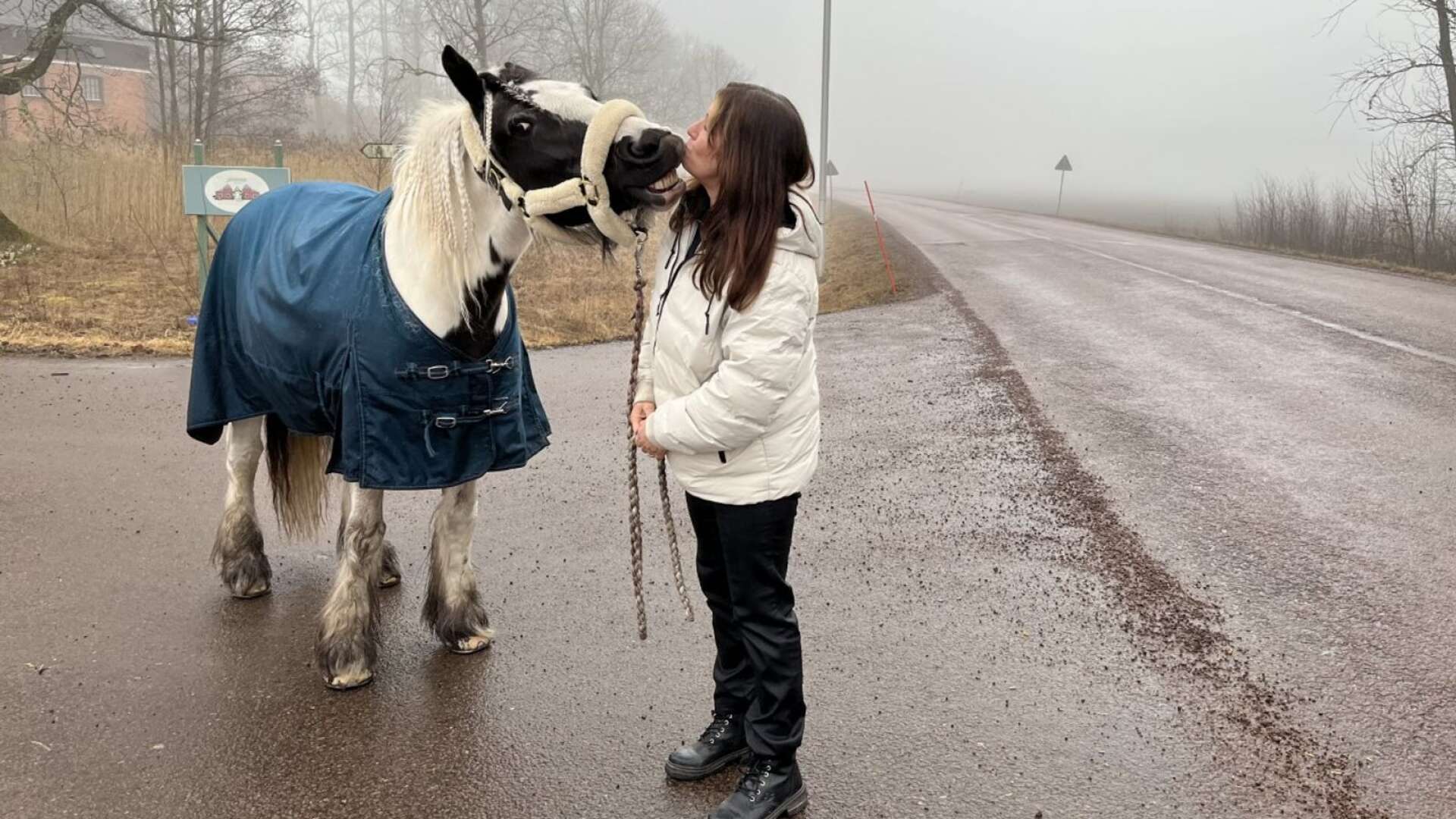 Susanne Nyström med 17-åriga Tinker-hästen Lily Light, som kort och gott kallas för Lillan, vill se mer hänsyn från bilisterna.