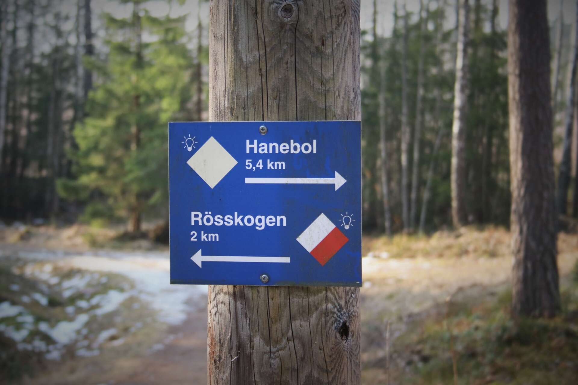 Delar av motionsspåret på Hanebol kommer att stängas av i samband med underhållsarbetet. 