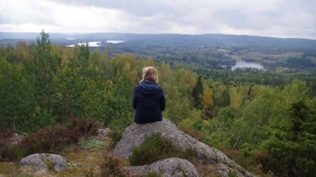 Fantastisk utsikt från Hallandaknatten. Ett par av Svansjöarna syns väl.