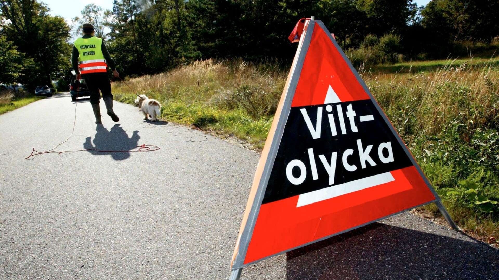 Tre viltolyckor inträffade på olika platser i Bengtsfors kommun under tisdagen. Eftersöksjägare tillkallades.