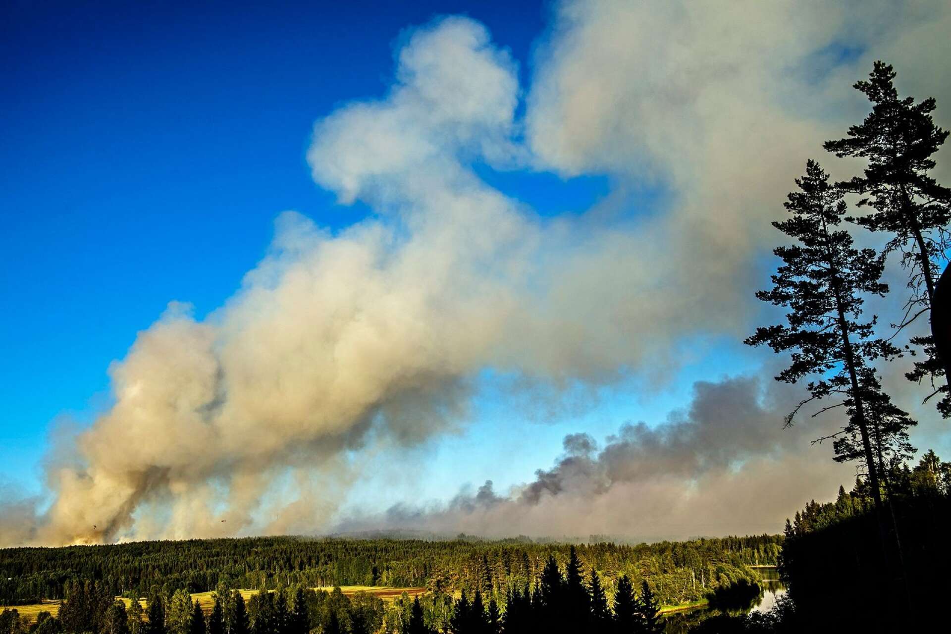  Skogsbrand norr om Ekshärad, en av många sommaren 2018. Arkivbild.
