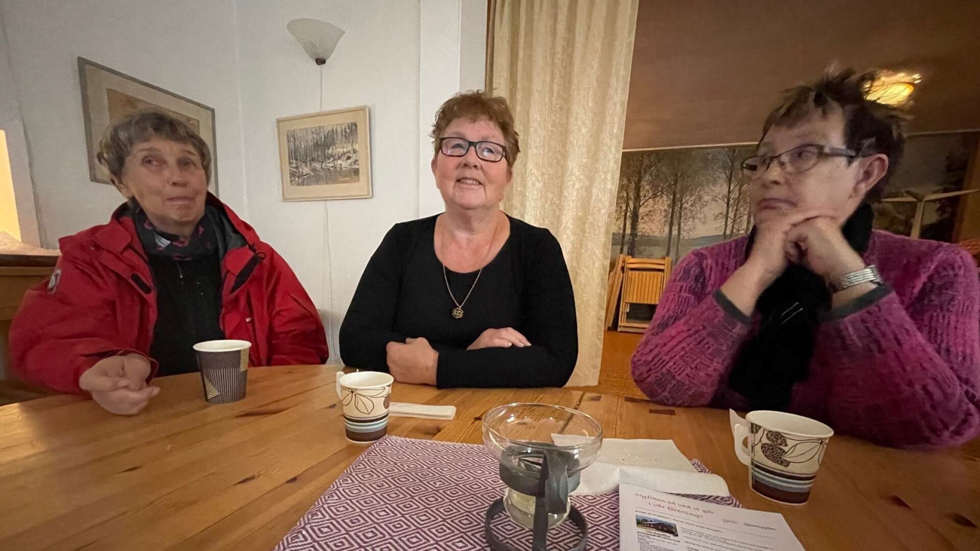 Maria Urech, Annika Hjalmarsson och Ing-Marie Östervald var tre av de fikasugna på hembygdsgården i Västra Sund i söndags. 
