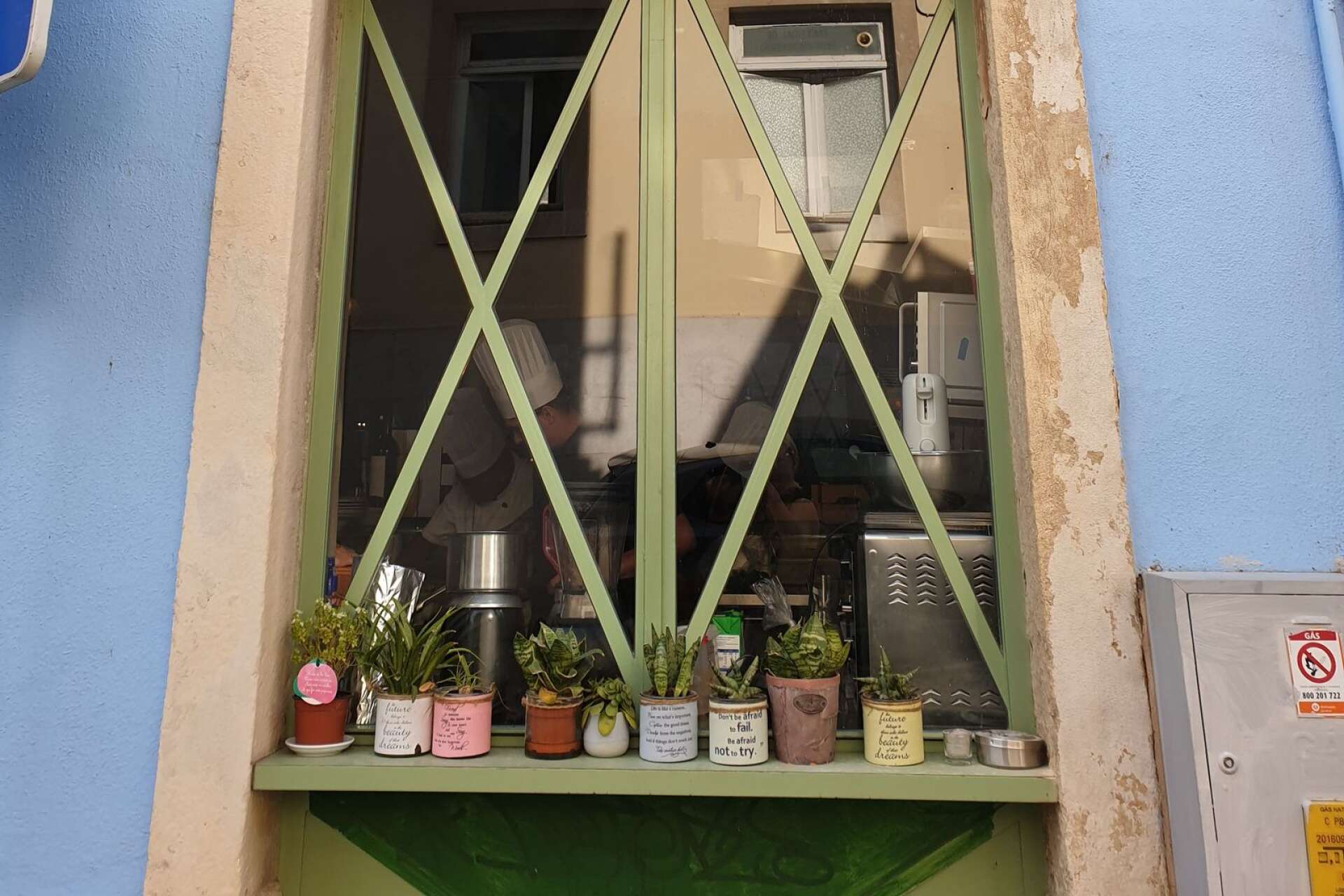 Ett fönster med små växter i Lissabon.
