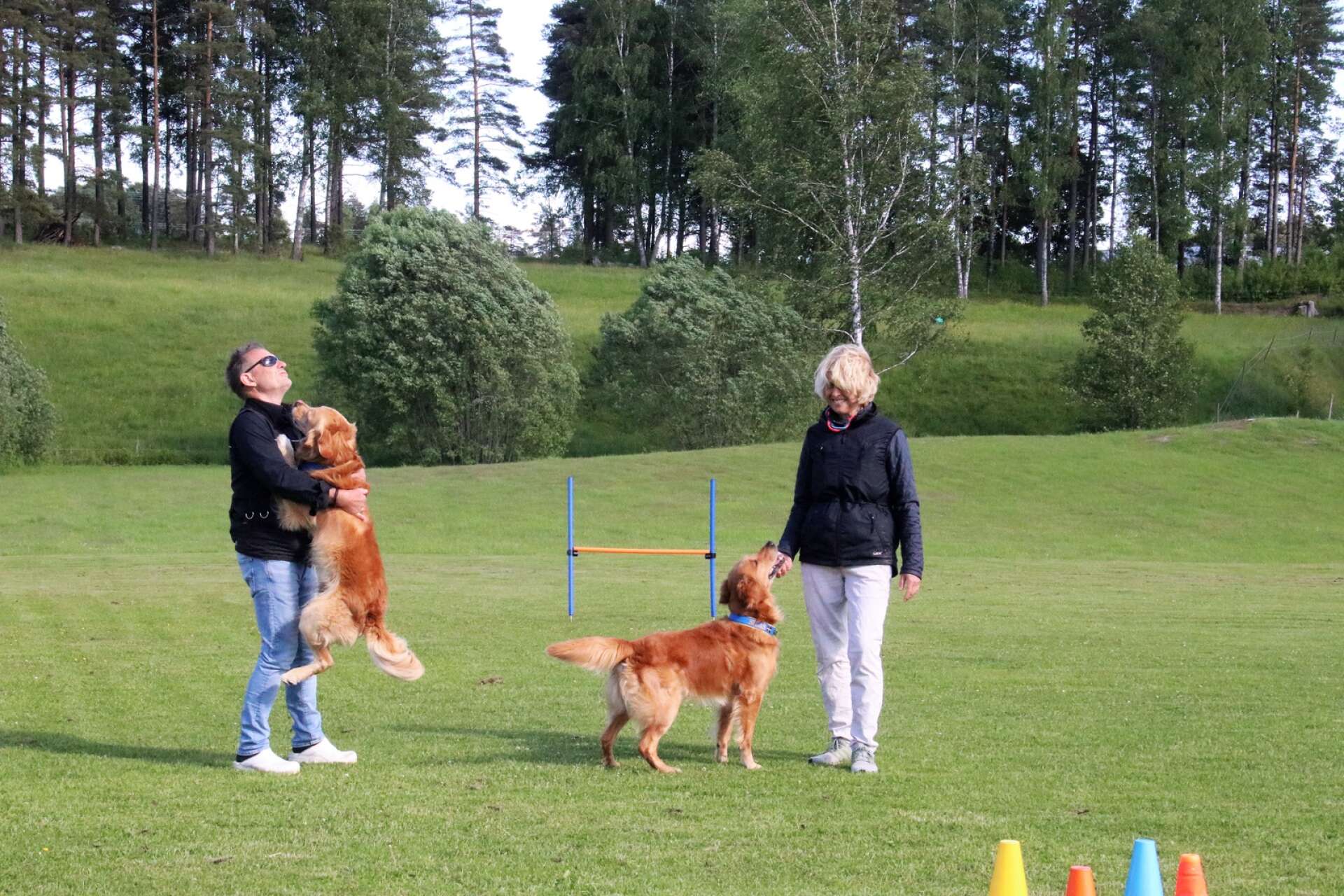 Åmåls Brukshundsklubb hade två ekipage i SM-finalen i tävlingslydnad i Värnamo. Samboparet Erling Sunnarvik och Solveig Nyvold från Tösse med hundarna Taco och Silas hade båda kvalificerat sig och ställdes mot varandra.