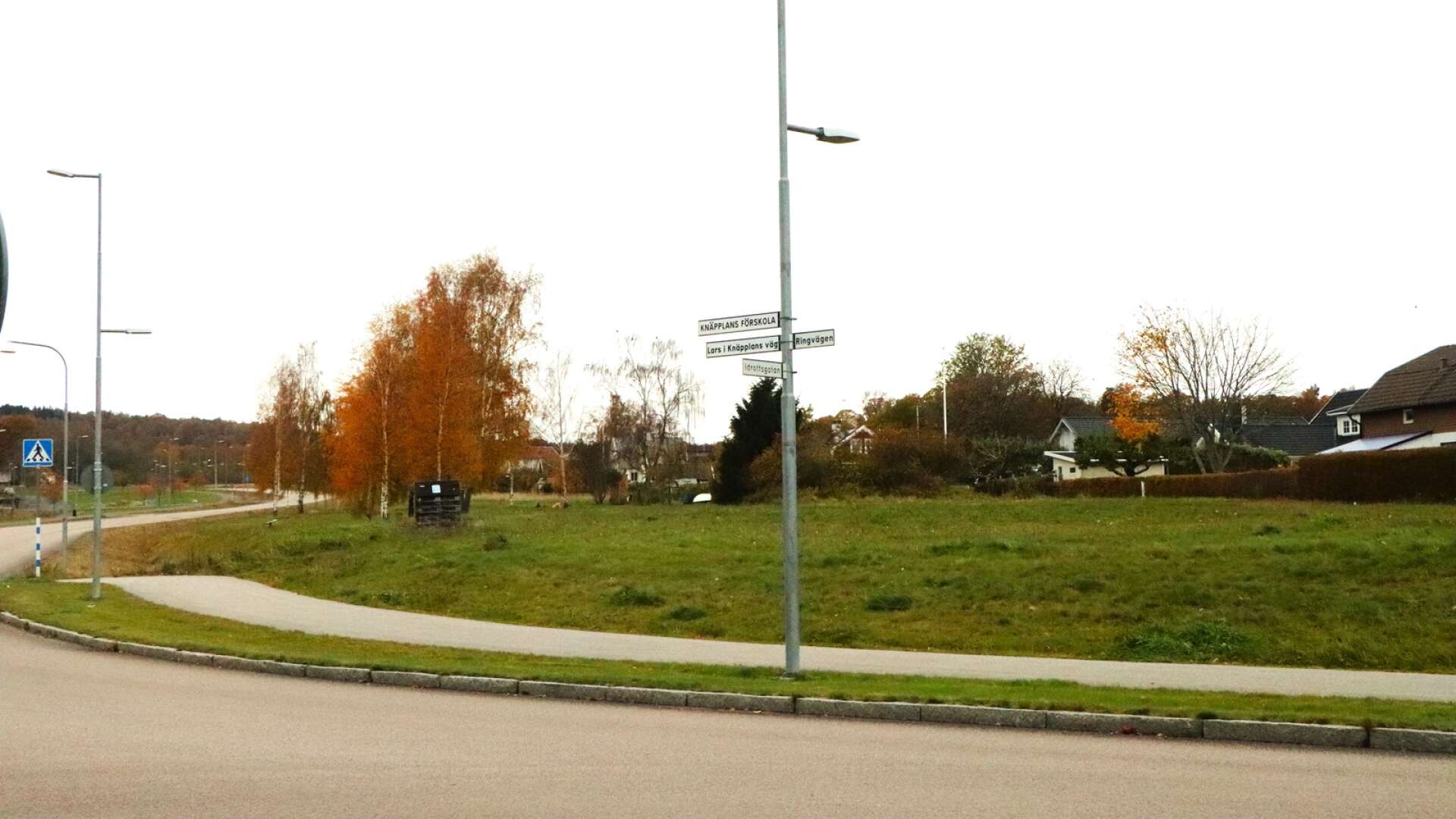 Här på grönområdet utmed Lars i Knäpplans väg planeras för bilparkering.