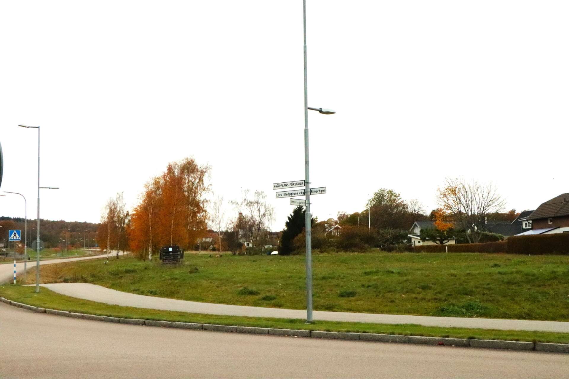 Här mellan Lars i Knäpplans väg och villorna utmed Knäpplanvägen vill kommunen anlägga en ny parkering med gräsarmering.