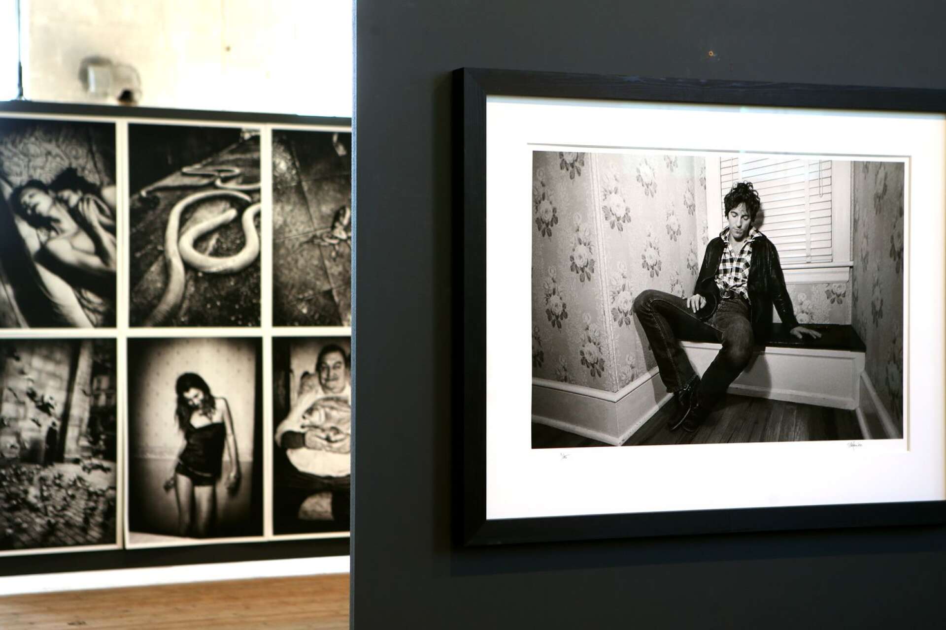 Frank Stefankos Springsteen-porträtt möter Anders Petersens bildserie i konsthallen i sommar.