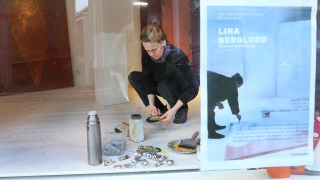 Under en månad har Mariestadskonstnären Lina Berglund fått vara och verka i galleriet på Kyrkogatan. Med start den 4 februari ställer hon ut det hon skapat.