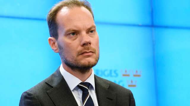 Sverigedemokraternas miljöpolitiske talesperson Martin Kinnunen.