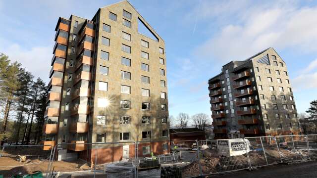 Insändarskribenten kritiserar planer på nya bostäder i Södra Ryd när Skövdebostäder har svårt att hyra ut lägenheterna på Timmergränd.