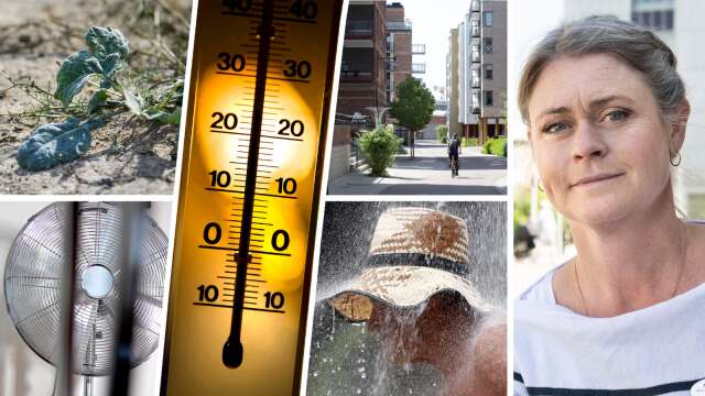 700 dog i Sverige 2018 • Asfalt och betong dopar värmen