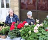 Från Blomsterhagens handelsträdgård i Åmål sålde Marita Burman Linder blommor tillsammans med barnbarnet Willma Johansson.