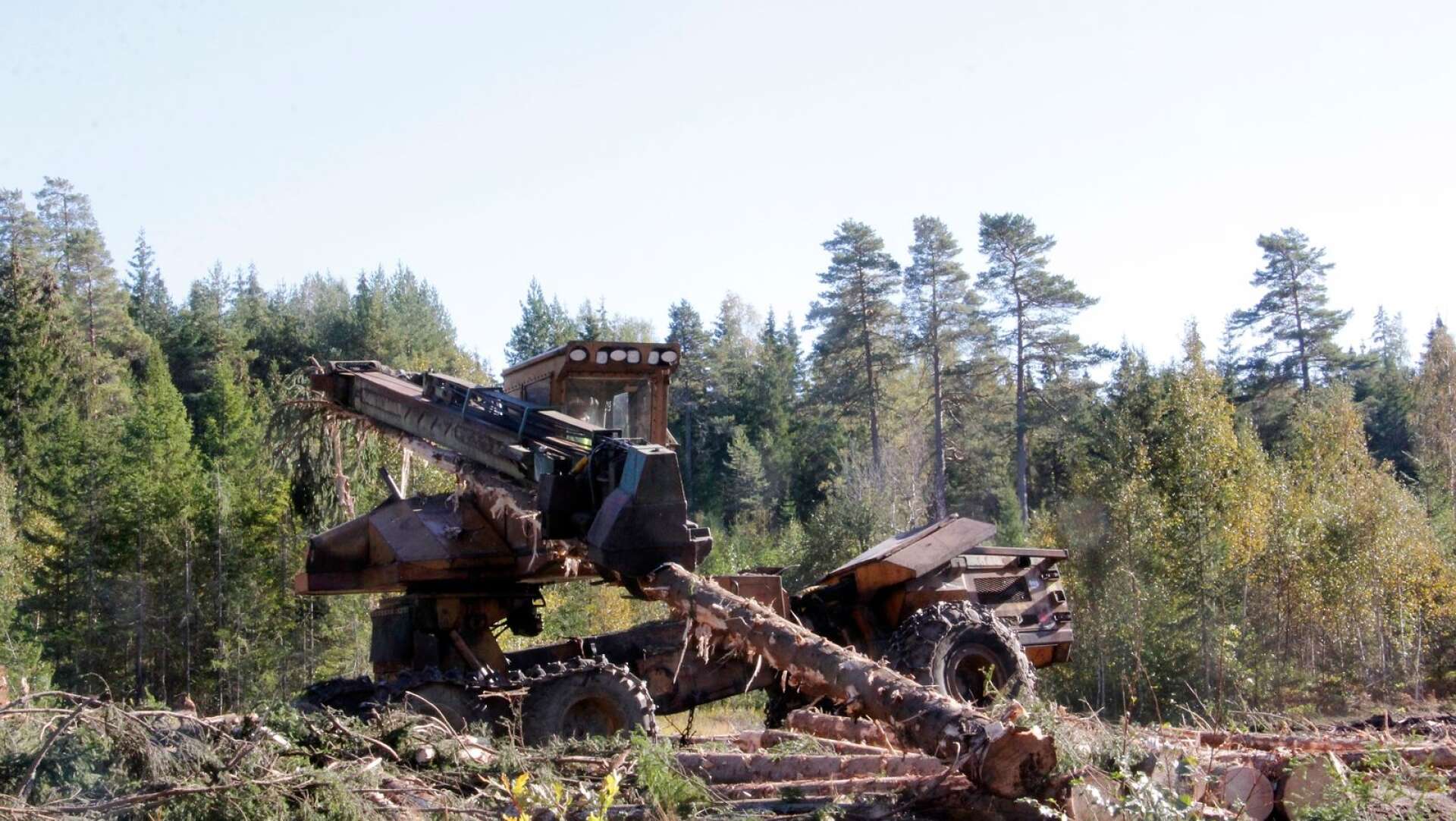 Skogsmaskiner som användes inom skogsbruket för några decennier sedan fick visa sina muskler igen.