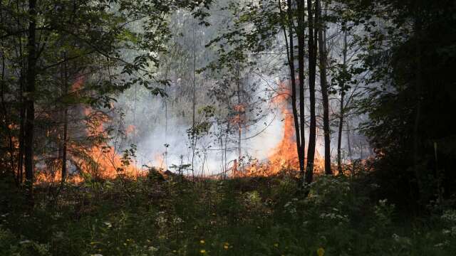 Räddningsregion är på tisdagseftermiddagen ute och släcker minst sex bränder i skog och mark.