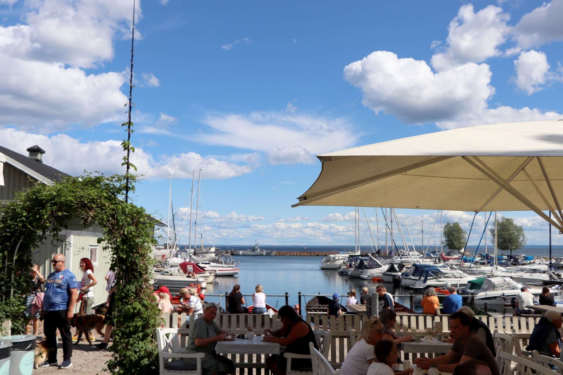 Sommaren innebär högtryck på Moster Elins glasscafé i Hjo hamn. Hjobor och turister från hela Sverige samt andra länder besöker glasscaféet som har runt 50 smaker i sitt sortiment.