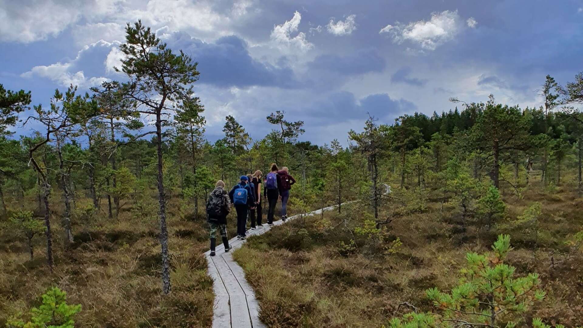 Frilufsare på vandring på Järnsjöleden i Storfors kommun. Friluftsfrämjandet hoppas kunna få igång strövare igen.