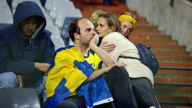 En svensk supporter på läkten Kung Baudouin-stadion efter beskedet att EM-kvalmatchen mot Belgien brutits.