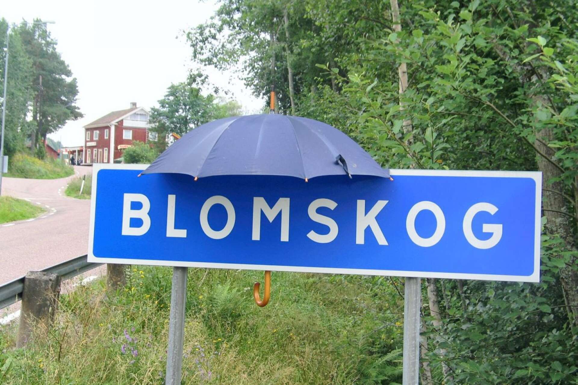I Blomskog i Värmland föll till exempel 86 millimeter regn på ett dygn i somras, skriver Hampe Mobärg, Caroline Harrå och Joacim Nordh.