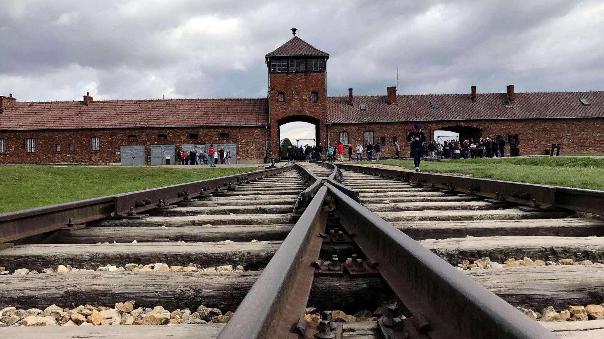 Auschwitzresan har ställts in i tre år och nu ska en utredning göras.