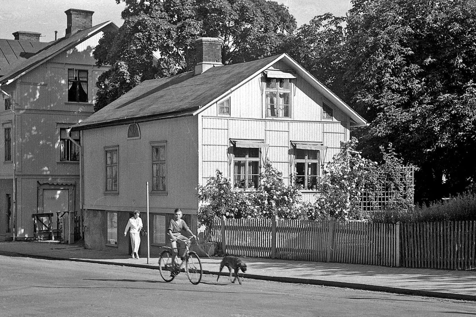 Vid Västra Storgatan såg man 1951 bland annat detta hus. Det låg snett mitt emot korsningen med Hamngatan och i huset fanns Systrarna Ödqvists hembageri. Huset som skymtar till vänster finns fortfarande kvar. 