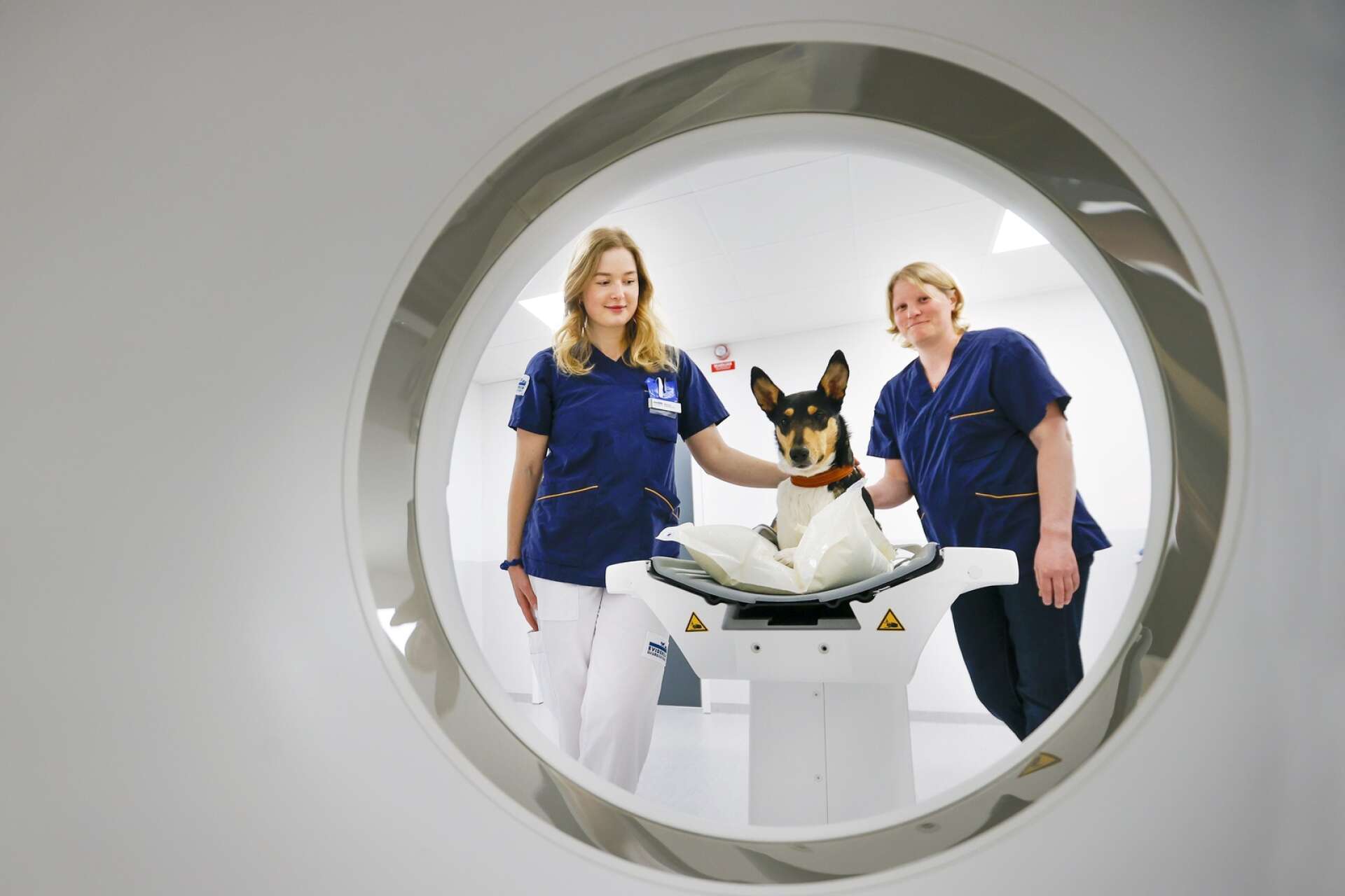 På det nyrenoverade djursjukhuset på Färjestad i Karlstad äger man numer en CT-röntgen. Här visar hunden Lovi upp maskinen tillsammans med matte Matilda Gustavsson (till vänster) och djursjukskötaren Malin Hedh.