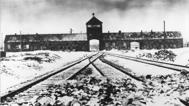 <strong id="strong-8dbd4fb0f60301c6debca4e2d0509888">Frank Tholfsson, Centerpartiet, skriver att ett besök i Auschwitz-Birkenau är ett sätt att försöka förstå och lära om människors lika värde.</strong>