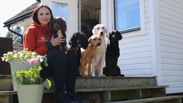 Sandra Jonsson har bestämt sig för att satsa helhjärtat på hunderiet, och startar nu ett hundpensionat samt ett mobilt hunddagis.
